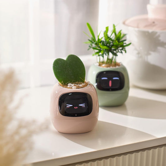 Maceta inteligente Ivy AI con pantalla de emojis